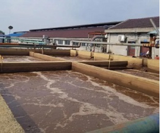 出水氨氮大于進水氨氮，怎么回事？