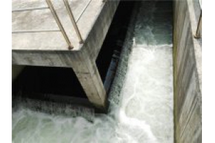 生化出水氨氮超標是怎么回事，要怎么辦