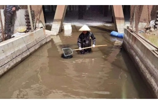 如何對活性污泥進行科學(xué)管控？