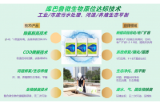 什么是氨氮激活菌，有什么作用